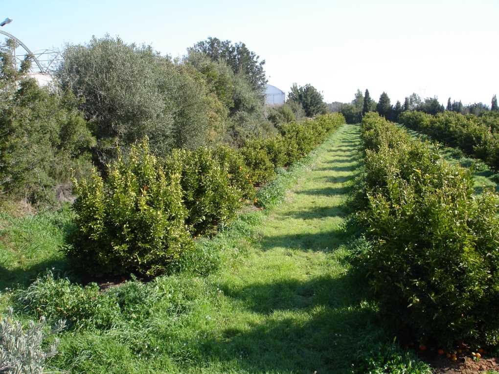 superficie ecologica (002)