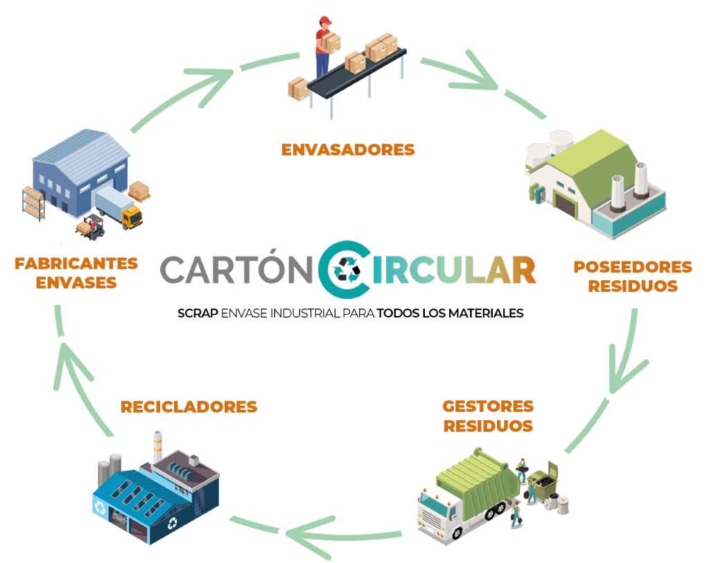 Cartón Circular