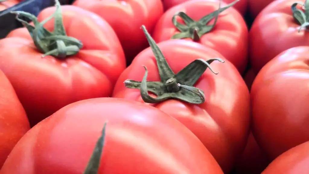 tomates