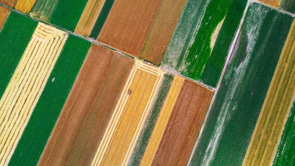 campos Europa