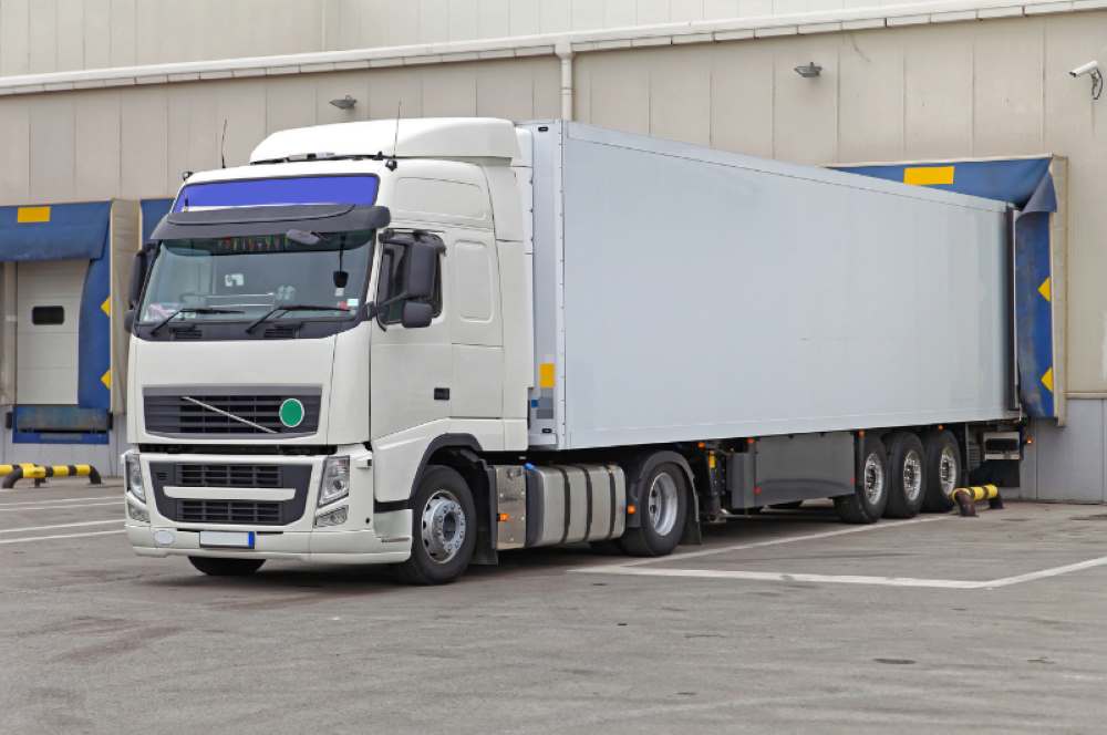 logistica