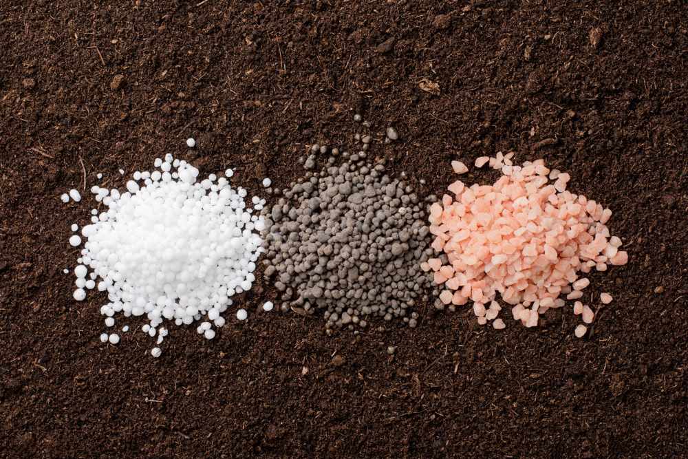 proyecto landfeed biofertilizantes