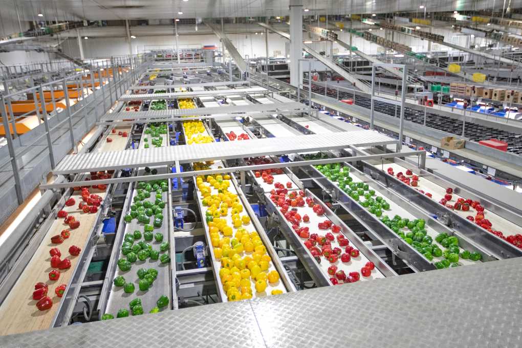 surinver interior