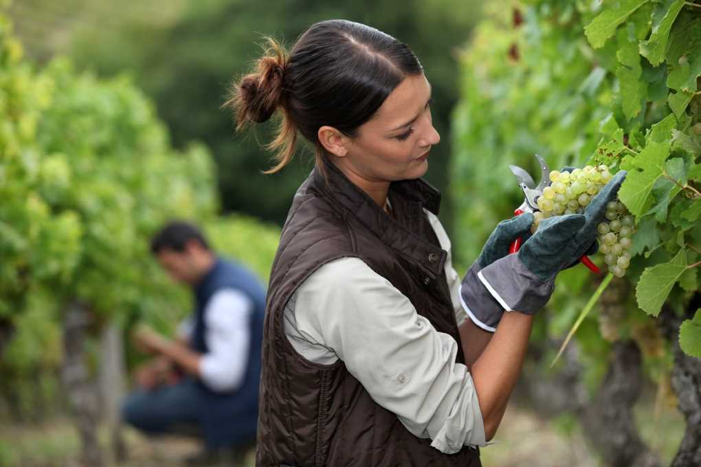 09_10_24_Agricultora (002)