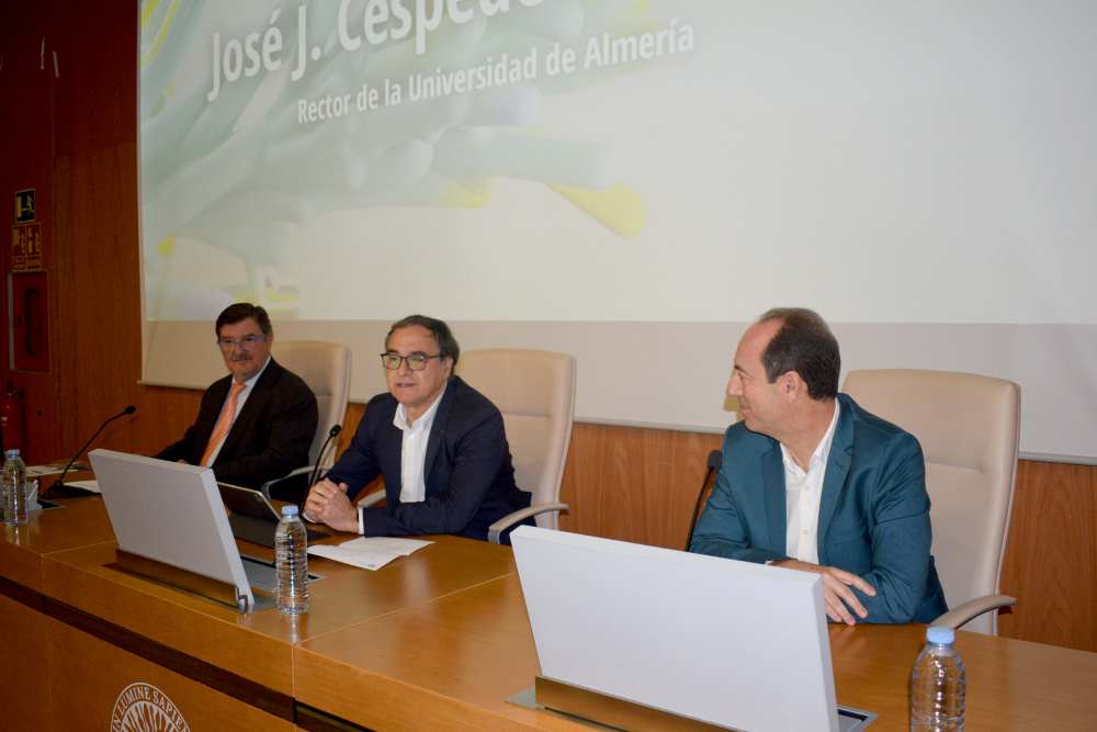 JORNADAS i+E UAL