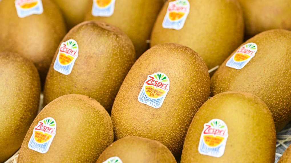 Zespri-Kiwifruit2 (002)