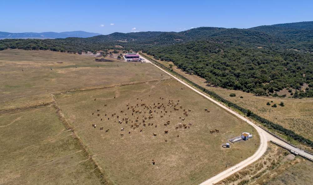 superficie ecológica