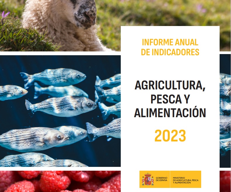 informeindicadores2023