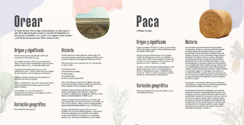 libro interior