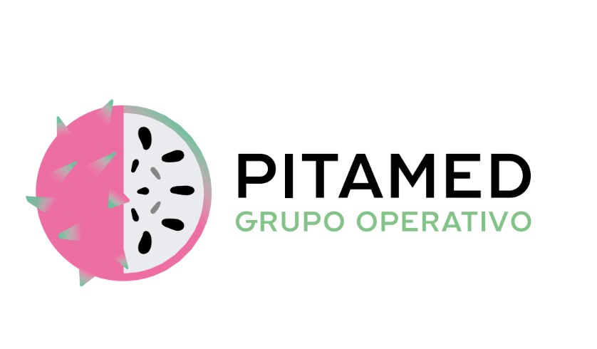 logo pitamed