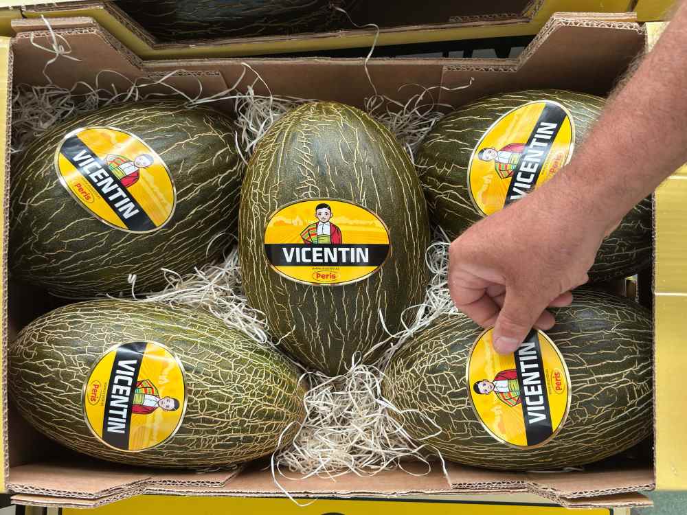 melones vicentín dePeris