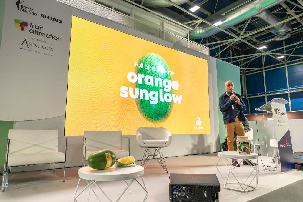 orange rijk zwaan