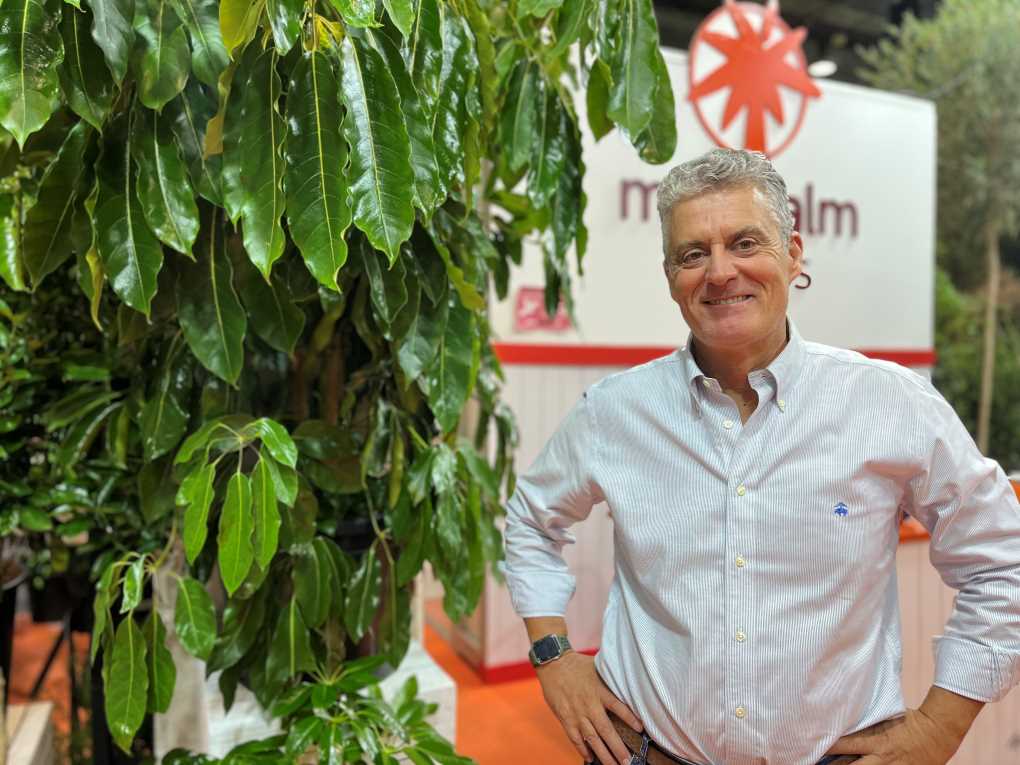 ALBERTO PASCUAL