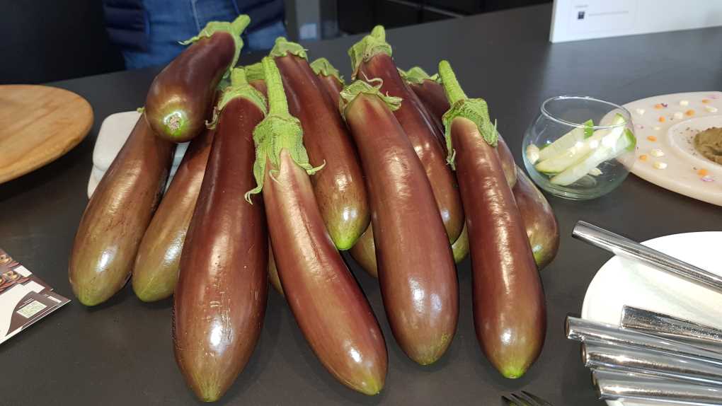 Berenjena chocolate Beyond Seeds (5)