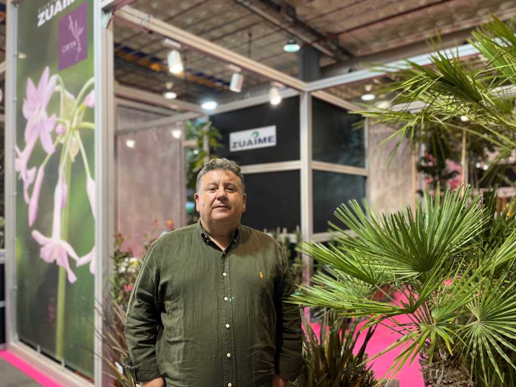 Francisco Molina
