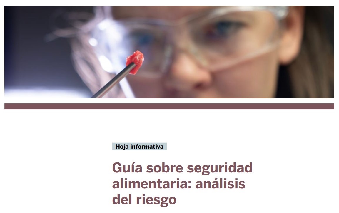 guía seguridad