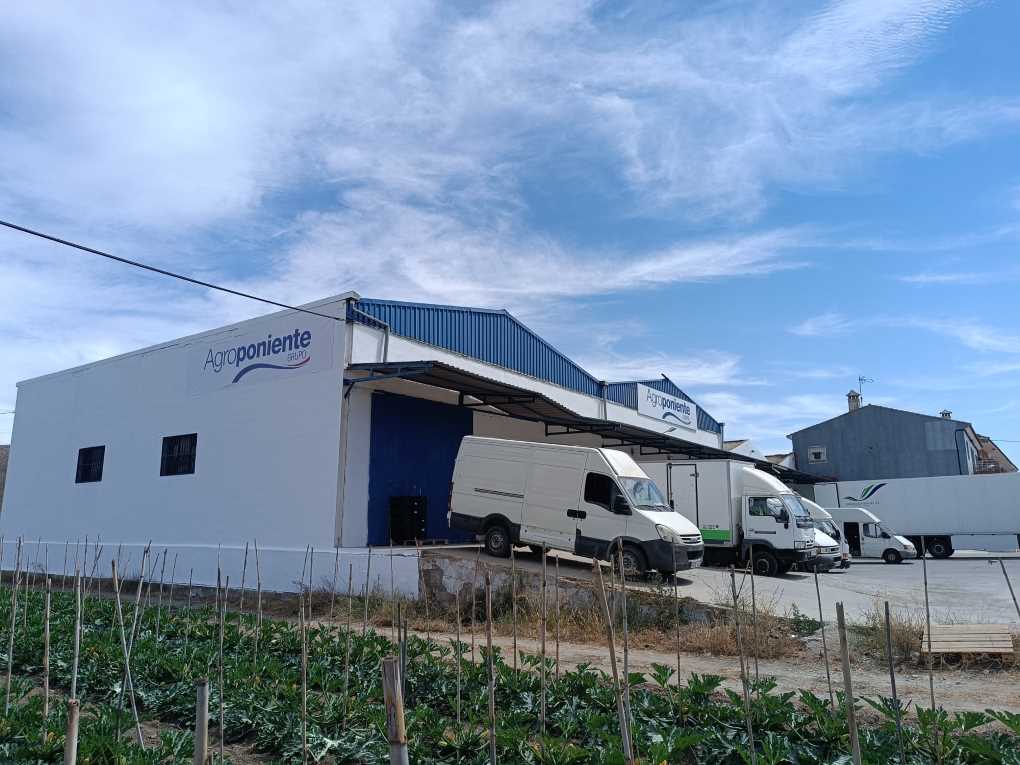 121224 GRUPO AGROPONIENTE (002)