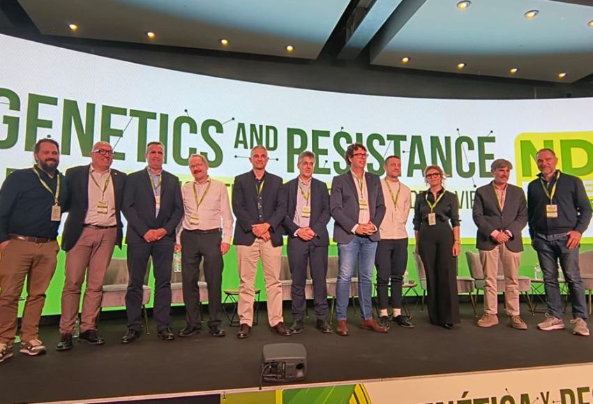 Syngenta