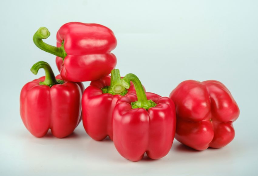 Pimiento Sakata