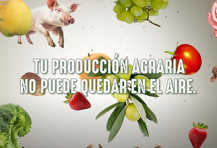 Seguro agrario_Junta de Andalucía