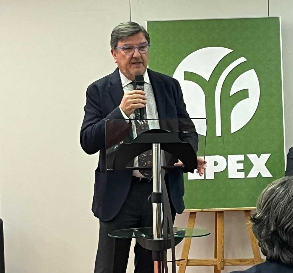 Cecilio Peregrín_FEPEX