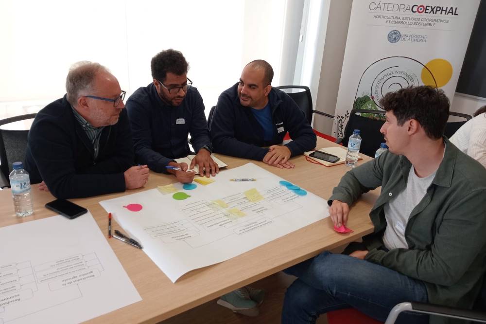 TALLER CODECS
