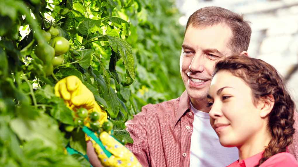 Programa Cultiva 2024