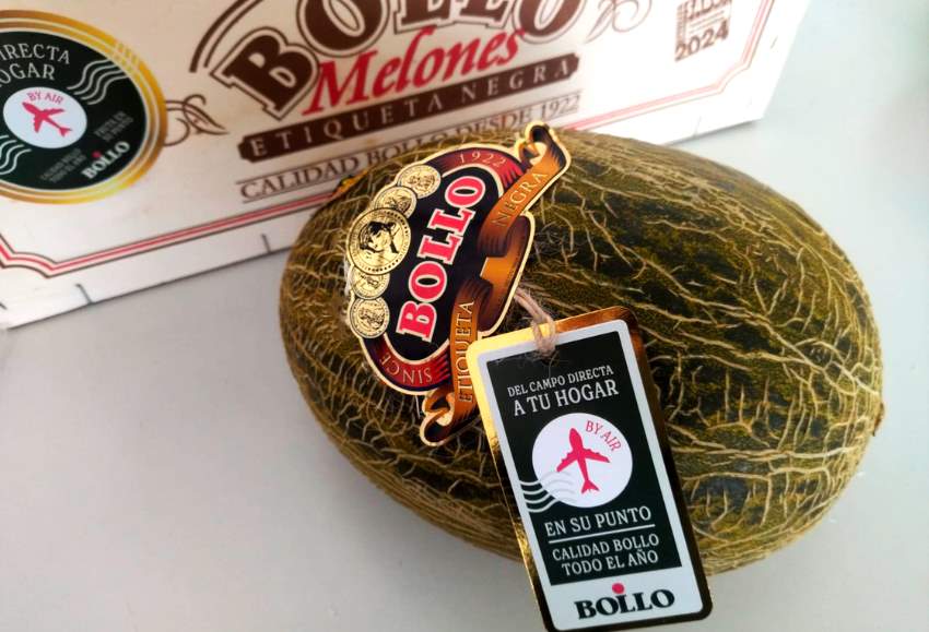 bollo natural fruit melón en avión