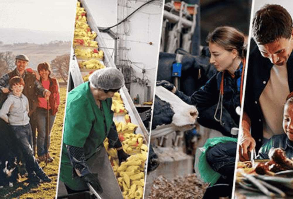 consejo europeo agro