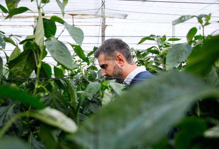 Consejero de Agricultura