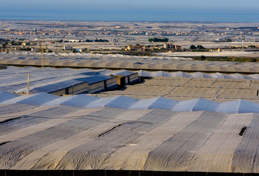 Invernaderos Almería