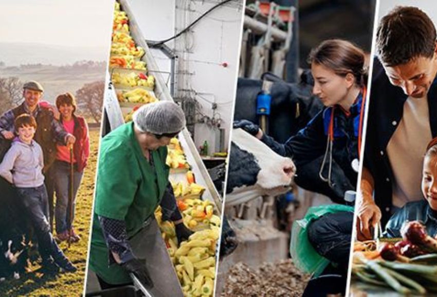 Comté Europeo Agricultura y Alimentación