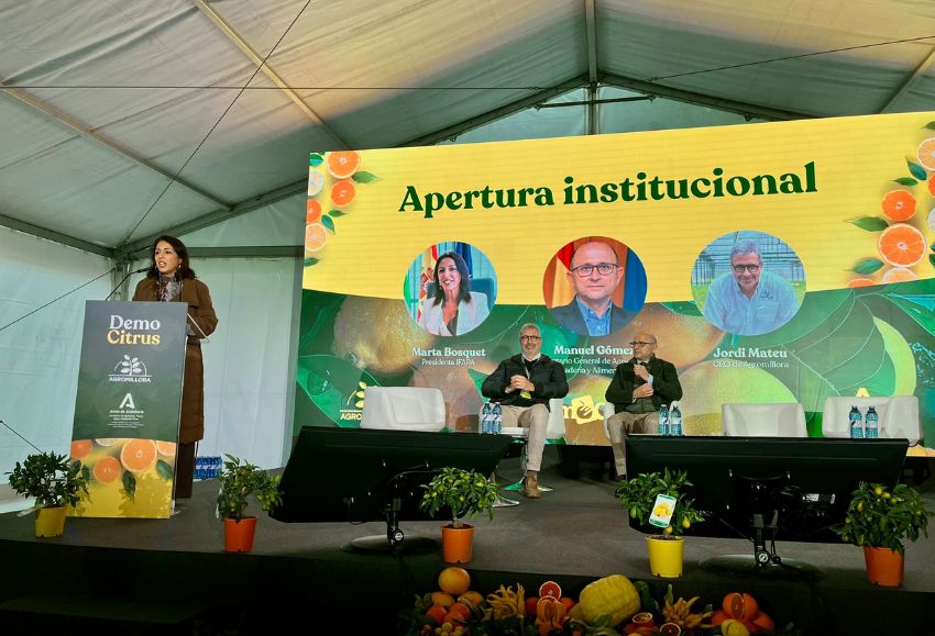 DemoCitrus(2)
