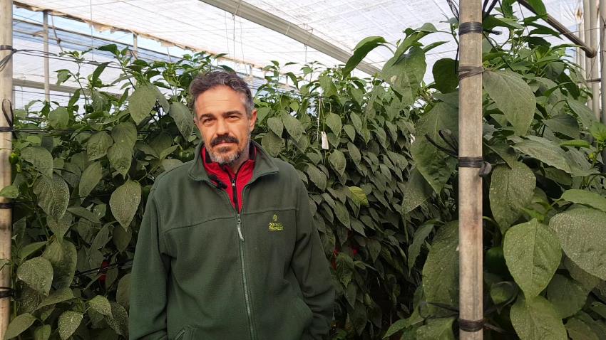 Francisco Aguilera agricultor