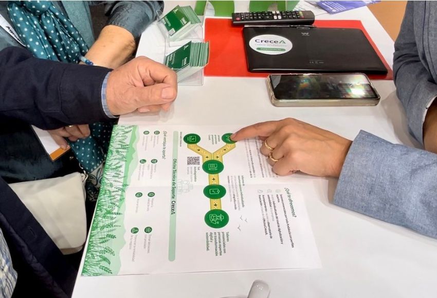 Programa CreceA Andalucía