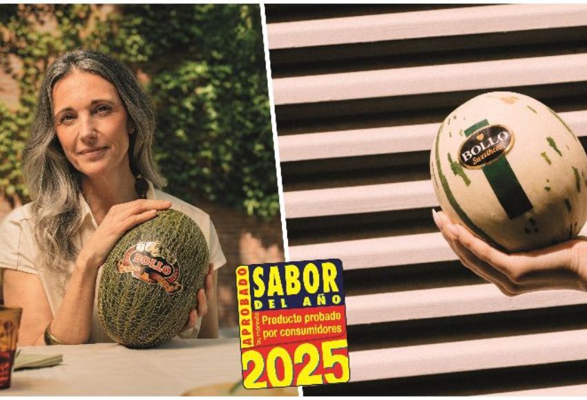 bollo sabor del año