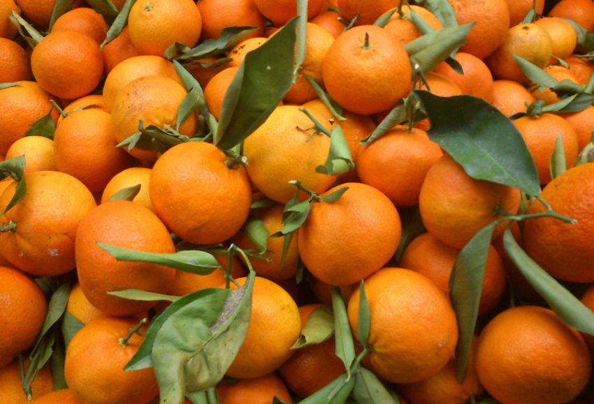 mandarinas