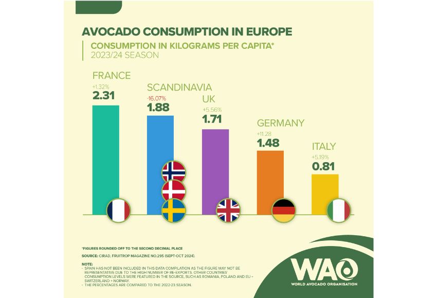 Consumo aguacate WAO