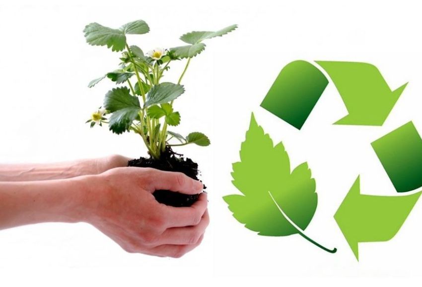 Curso Gestión Ambiental