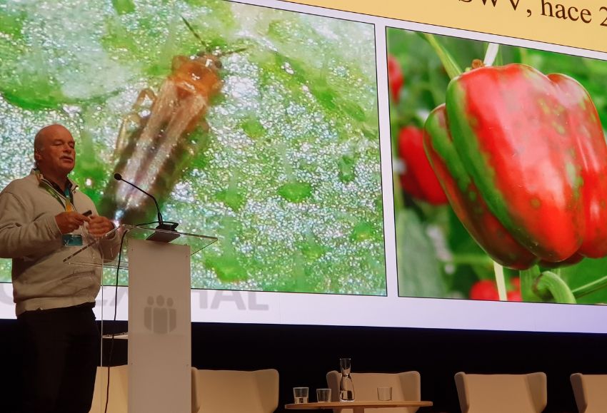 Jornada Thrips Jan van der Blom