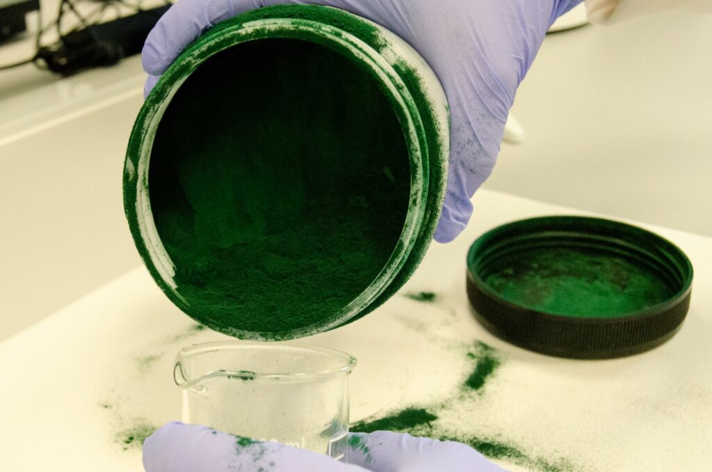 Biomasa de microalga