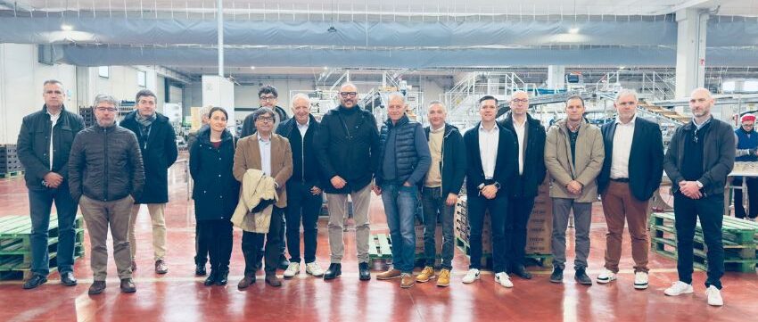 Grupo de Tomate_Sicilia