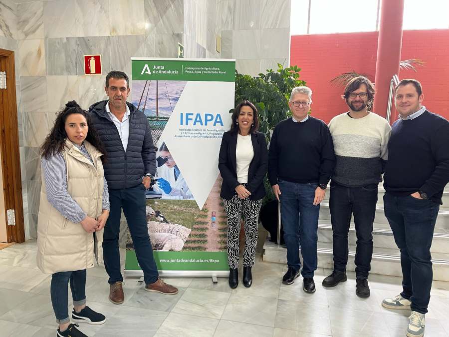 IFAPA 