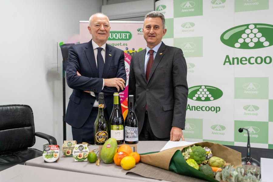 aneccop