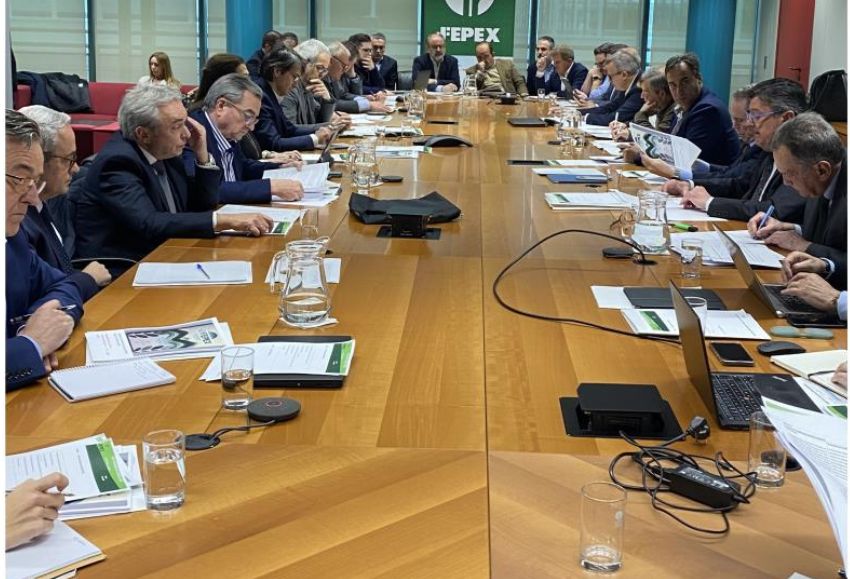 asamblea fepex