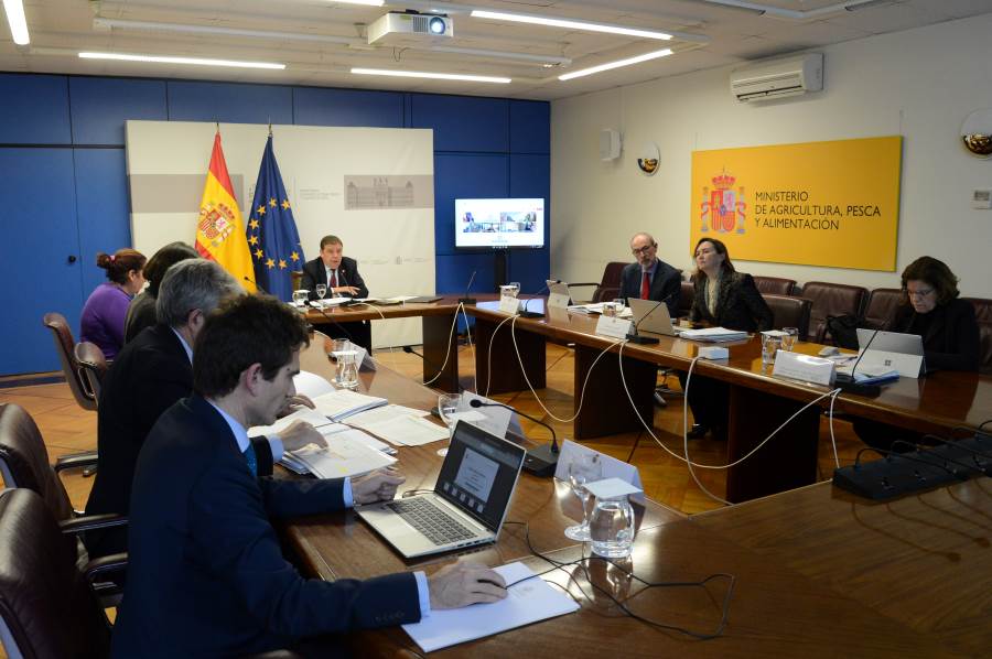 ministro consejo
