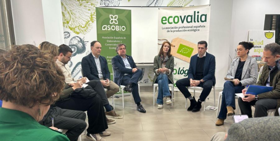 presentacion decalogo eco