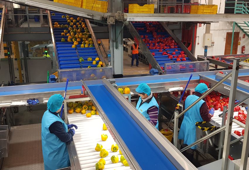 Almacén hortofrutícola