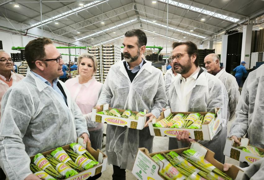 Cooperativa COSAFRA