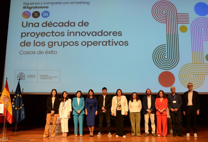 Grupos operativos